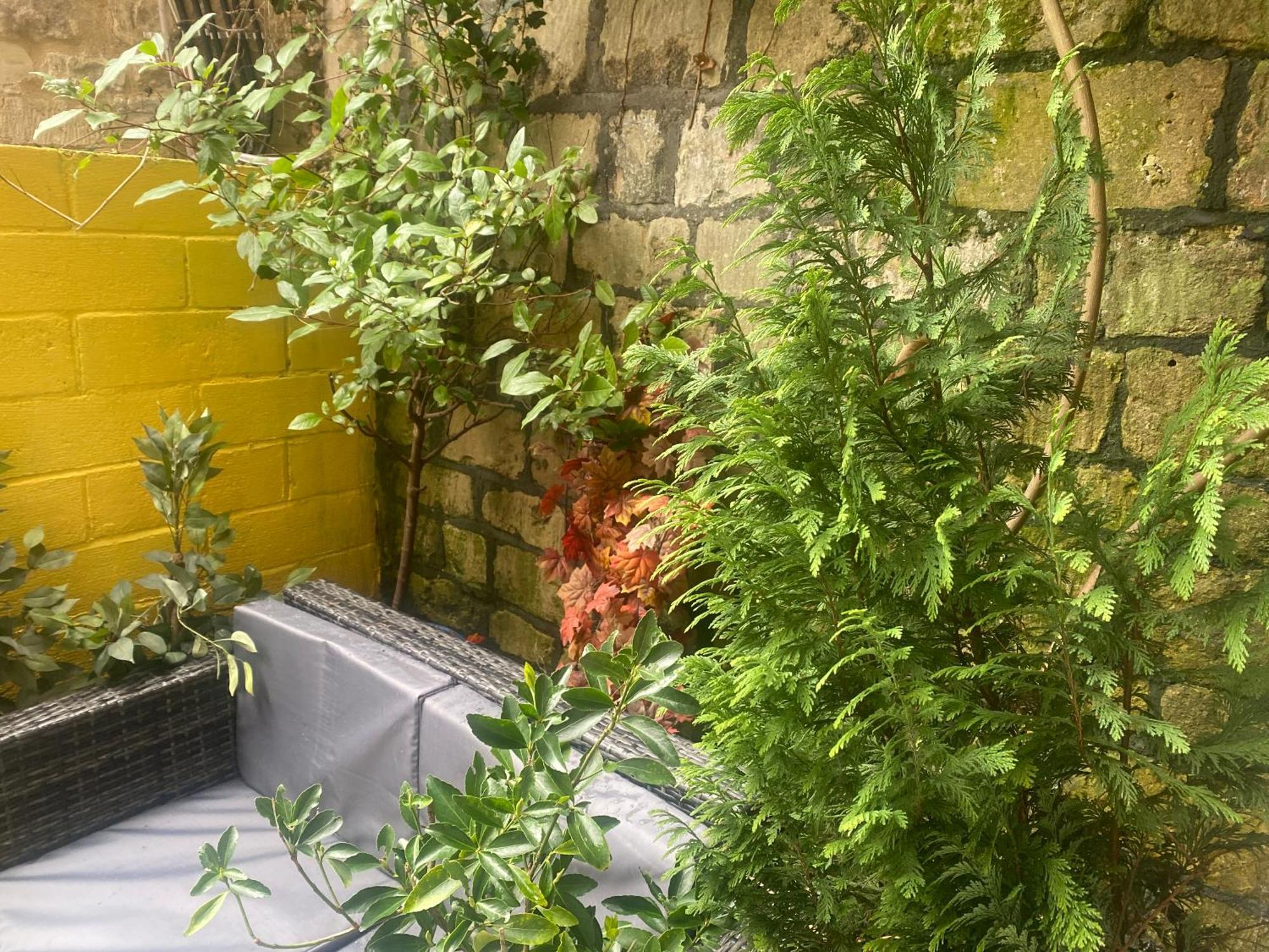 Quiet Lower Floor 2 Bed City Apartment With Private Patio Garden Bath Extérieur photo